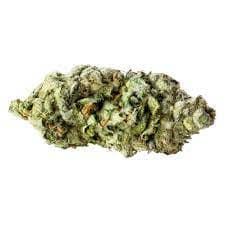 Redecan - Black Cherry Punch (Purple Punch x Black Cherry Pie)- 3.5g