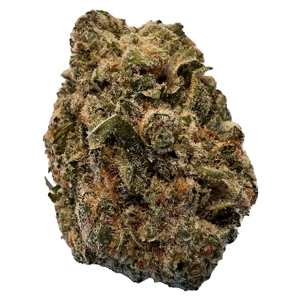 Versus - BC Purple Kush - 28g
