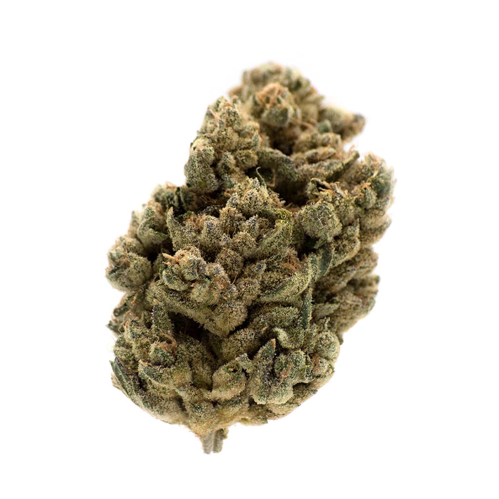 MTL - Jungl- Cake (White Fire x Wedding Cake) - 14g