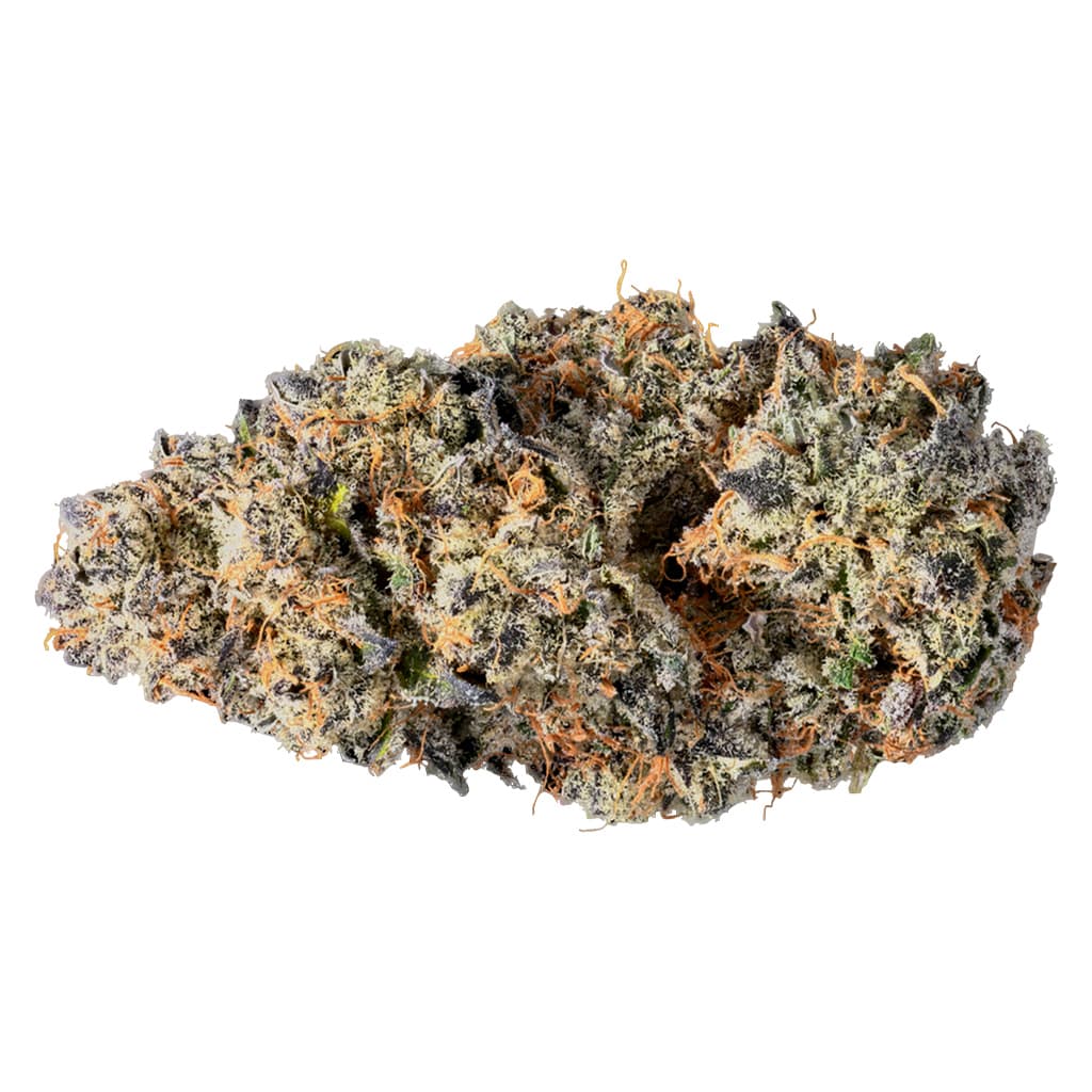 Tribal - Terple (Tropicana Cookies and Slurricane #7) - 3.5g