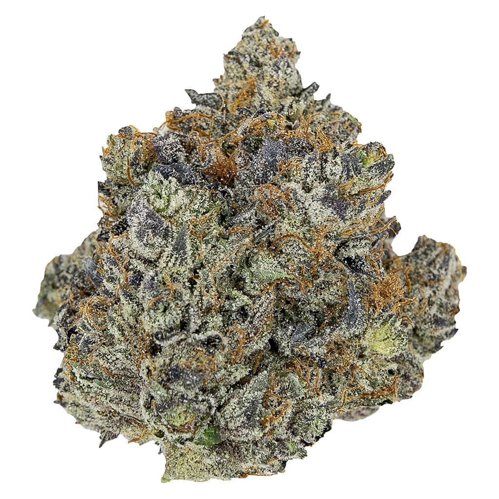 Pistol and Paris - Pink Panties - 7g
