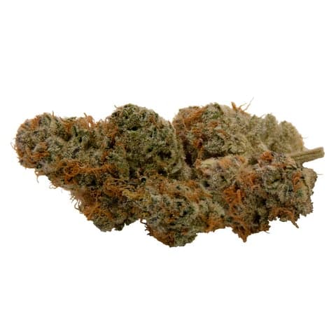 Bullrider - Peach Crescendo (Chem D x i95 x Mandarin Cookies x Peach Rings)- 3.5g