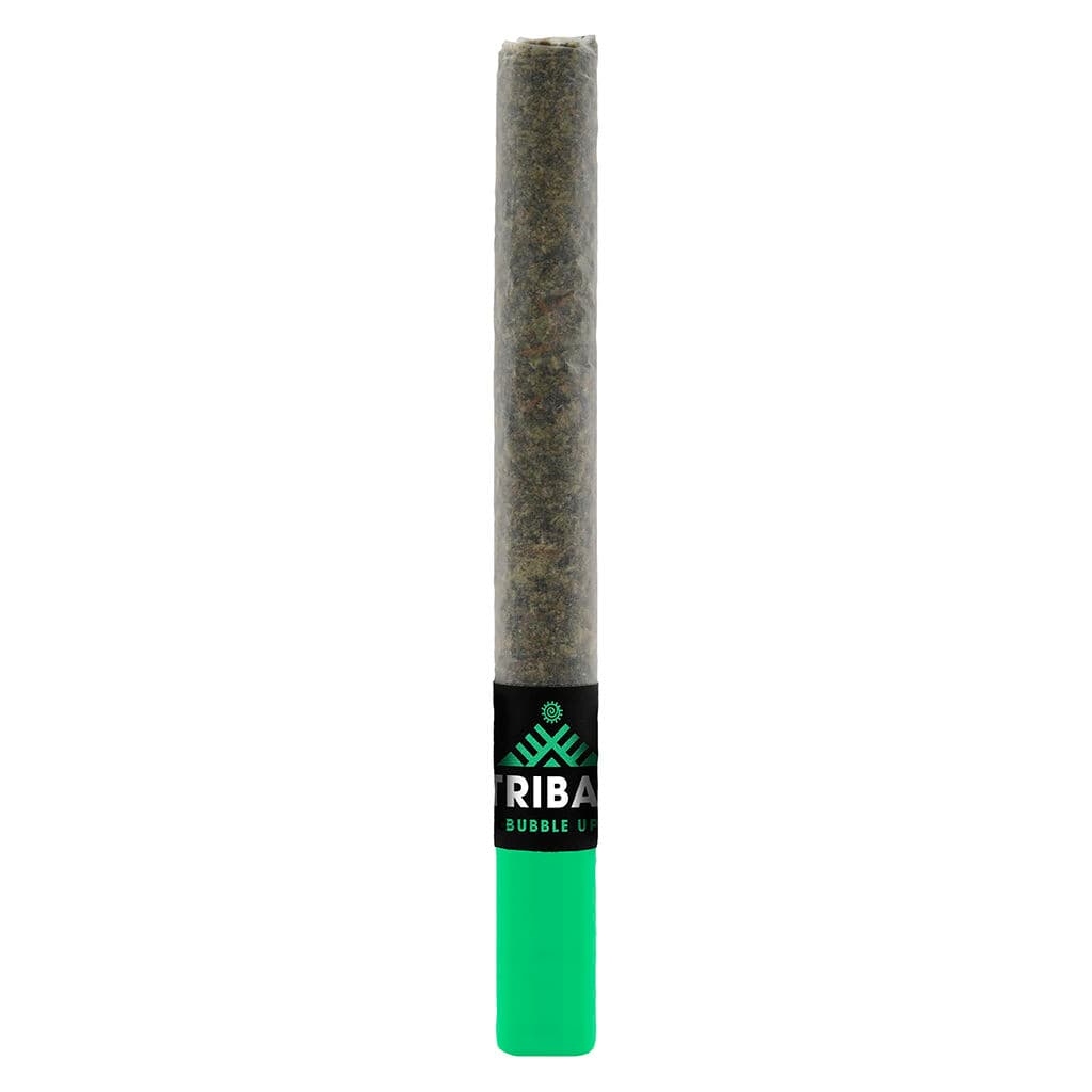 Tribal - Bubble Up Ceramic Tip Pre-Roll - 1x1g