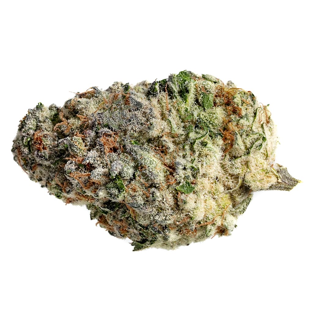 The Original Fraser Valley Weed Co. - MAC 1 (Alien Cookies #2 x Miracle 15) - 28g