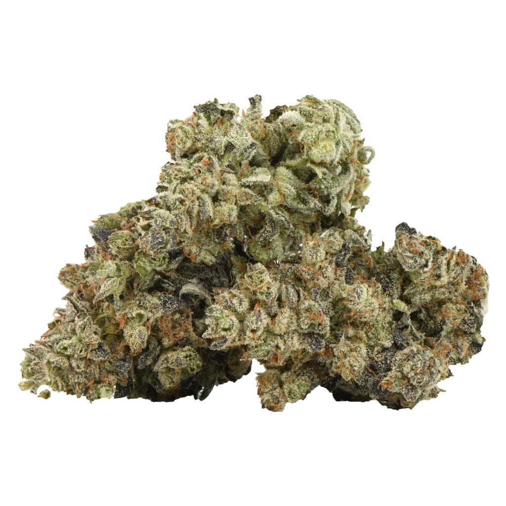 Fresh - Gas Face (Face Mints x [Biscotti x Sherbinski Back Cross]) - 3.5g