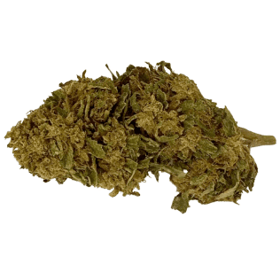 Argentia Gold - B. Banner (OG Kush x Strawberry Diesel) - 3.5g