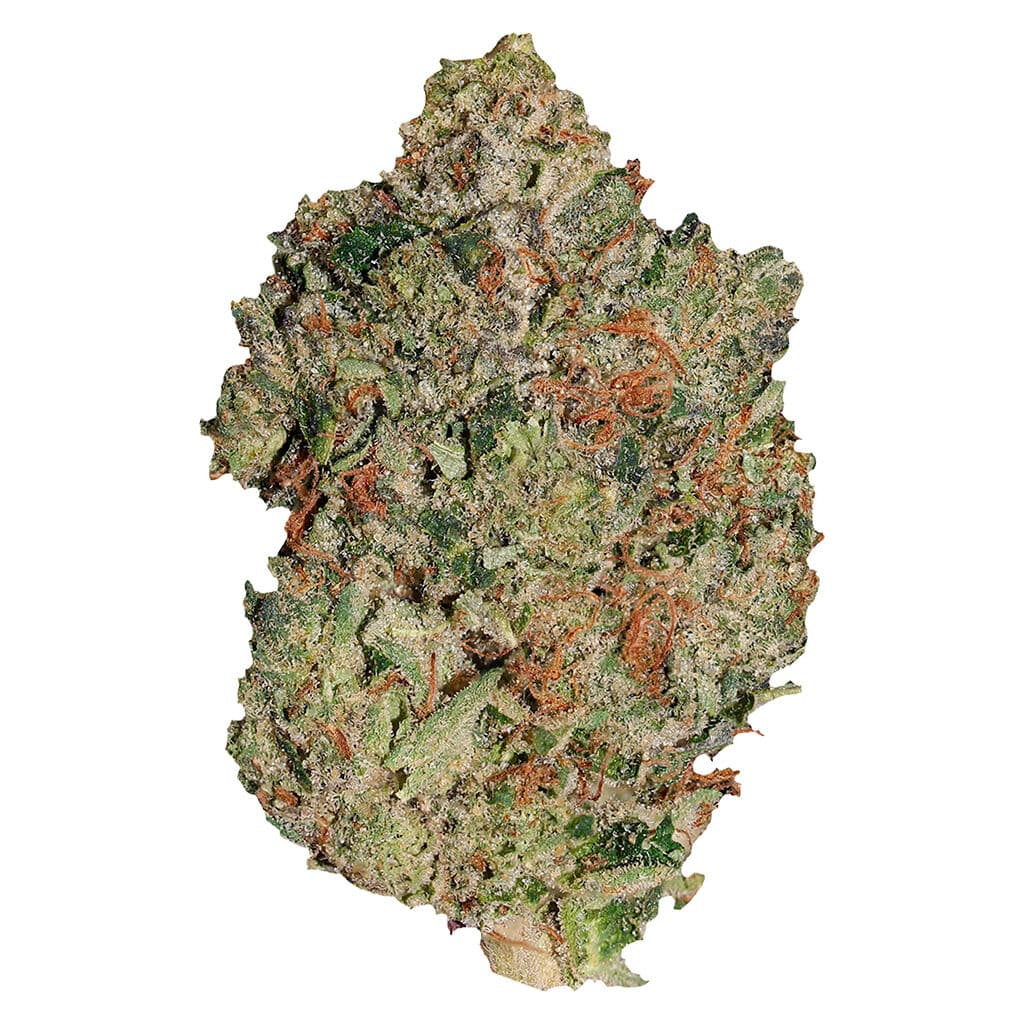 Pistol and Paris - Lindsay OG (OG Kush x Uknown) - 7g