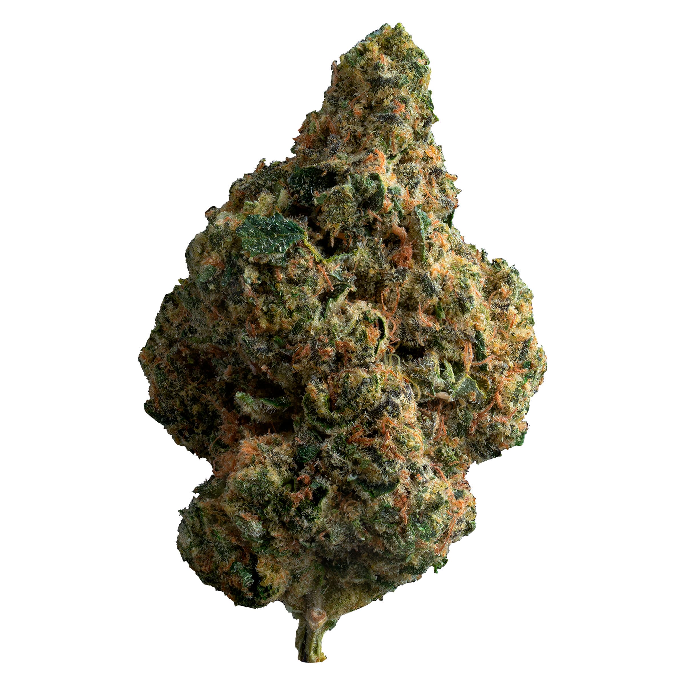 The Loud Plug - Exotic Gas (Pink Cookies) - 28g