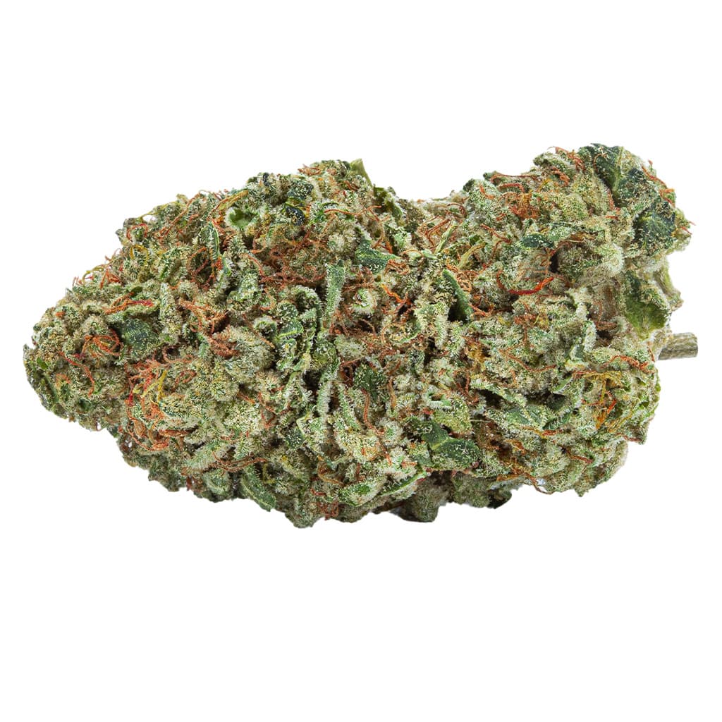 Highly Dutch Organic - Rotterdam Indica (Maple Kush) - 3.5g