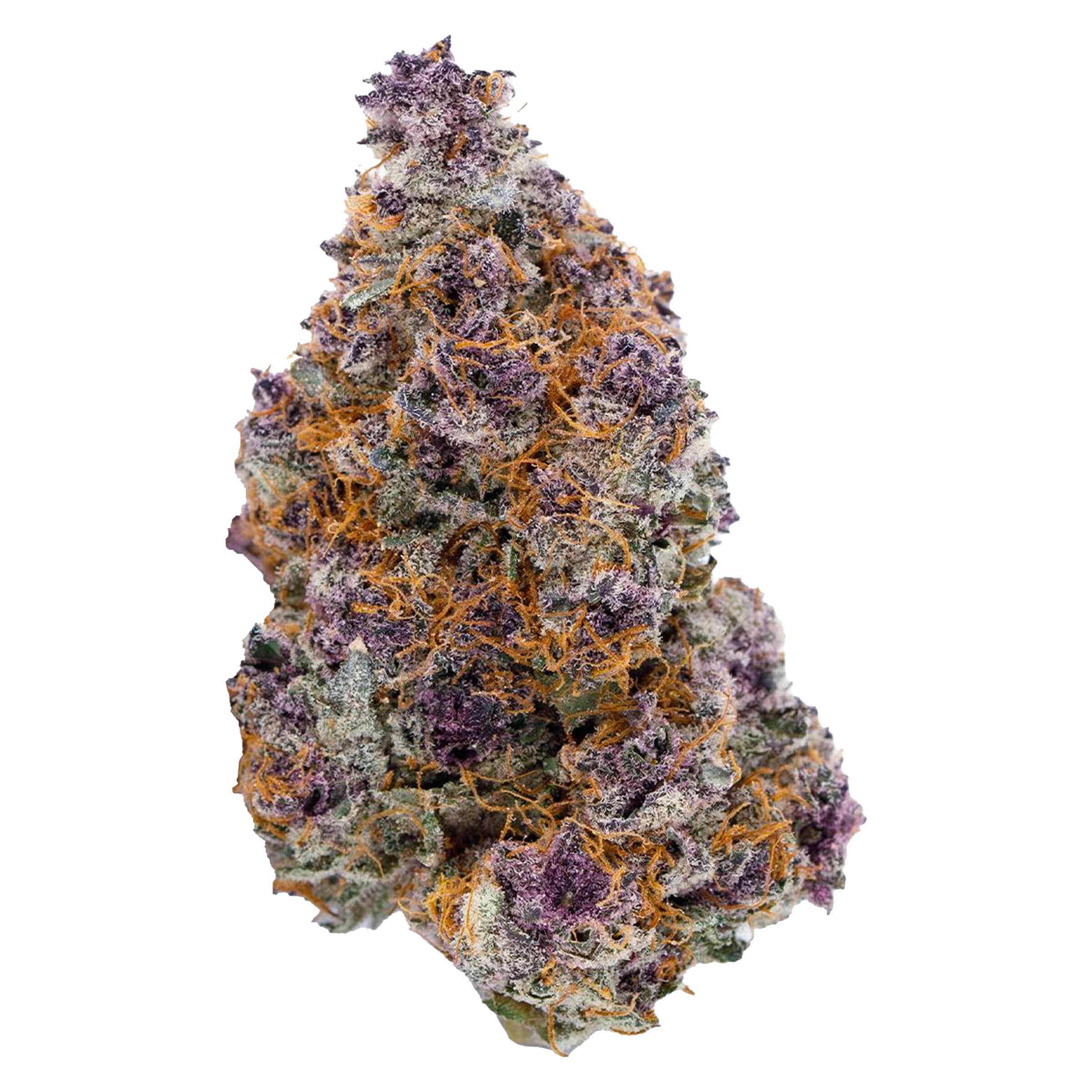 Sheeesh! - Trop Cherry (Tropicanna CKS x Cherry CKS f3) - 7g