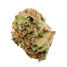 Good Supply - Grower-s Choice Sativa (Rotating Strains) - 28g