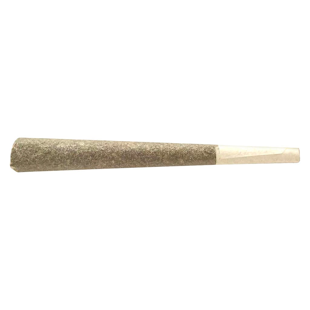 CELEBRITY - Raptors Rntz (Animal Mints x Runtz) Pre-Roll - 1x1g