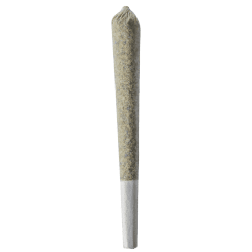 BZAM - Fresh Squeezed OG Jet Pack infused Pre-Roll - 1x1g