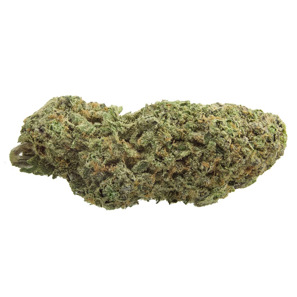 1964 - Organic Sour Cookies (GSC X Sour Diesel) - 14g