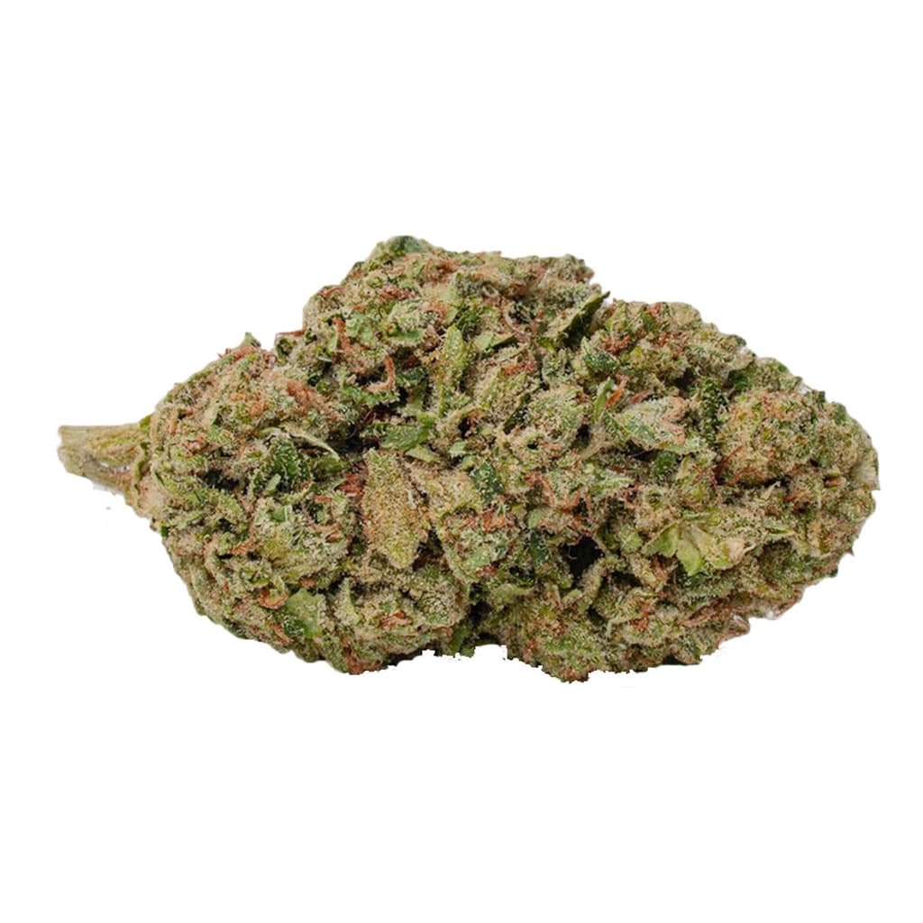 Melt - Biscotti Amnesia (Biscotti Pie x Amnesia Haze) - 3.5g