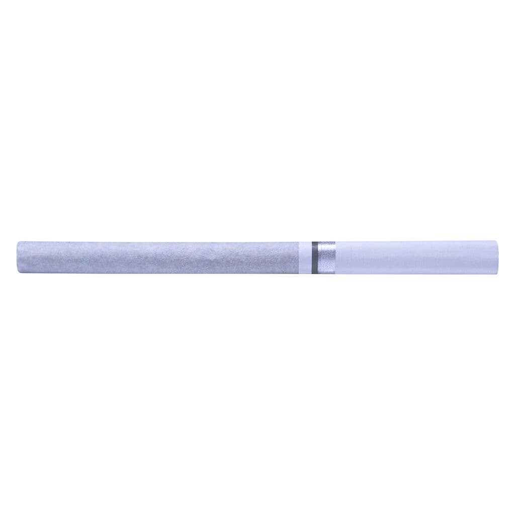 Dab Bods - White Gushers Super Slim Shatter Dartz Infused Pre-Rolls - 8x0.4g