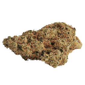 BOLD - Thin Mint GSC x Sunset Sherbet - 3.5g