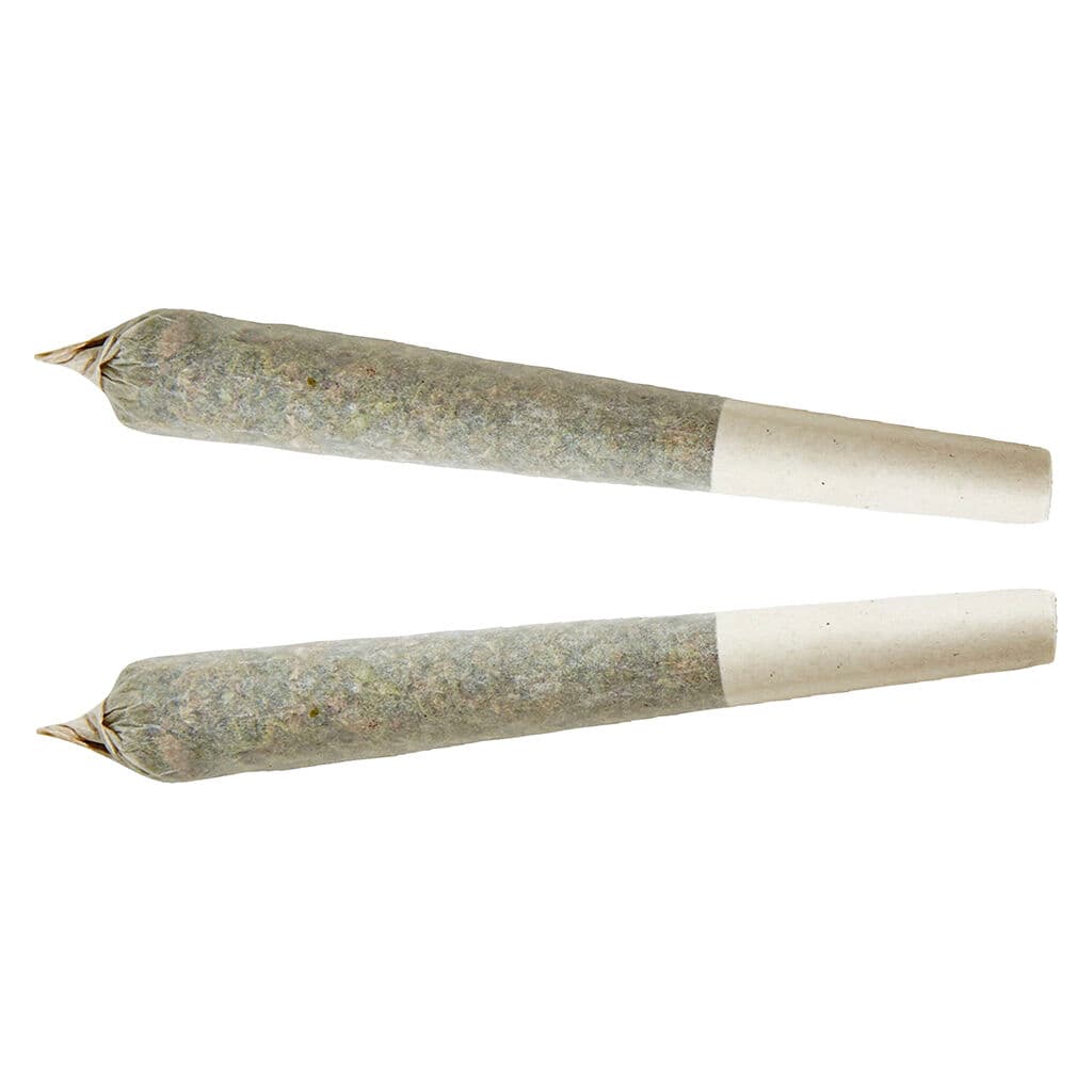 XPLOR - Sativa Pre-Rolls - 2x1g
