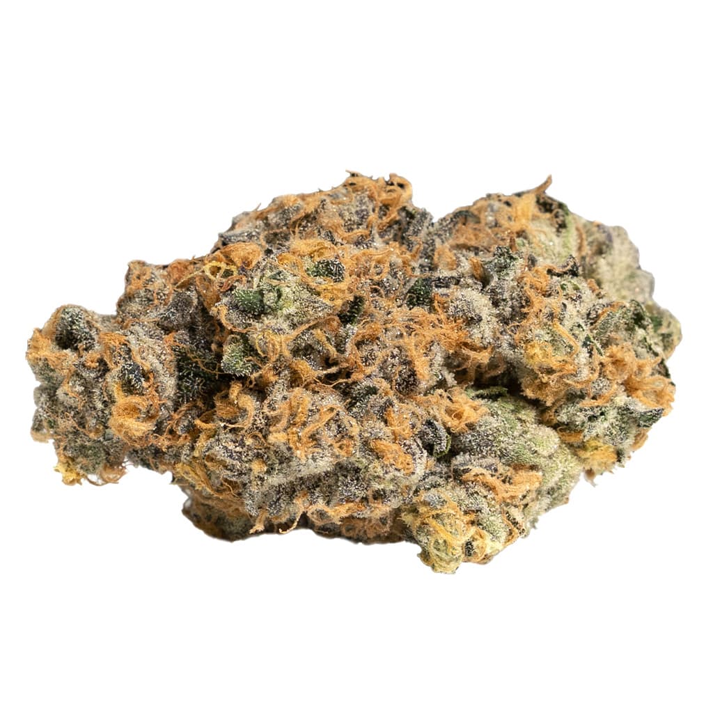 Cookies - GP20 (Smalls)  (Y-Griega x Snowman) - 14g