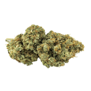 Msiku - Bucket List 91 x White 91 - 3.5g