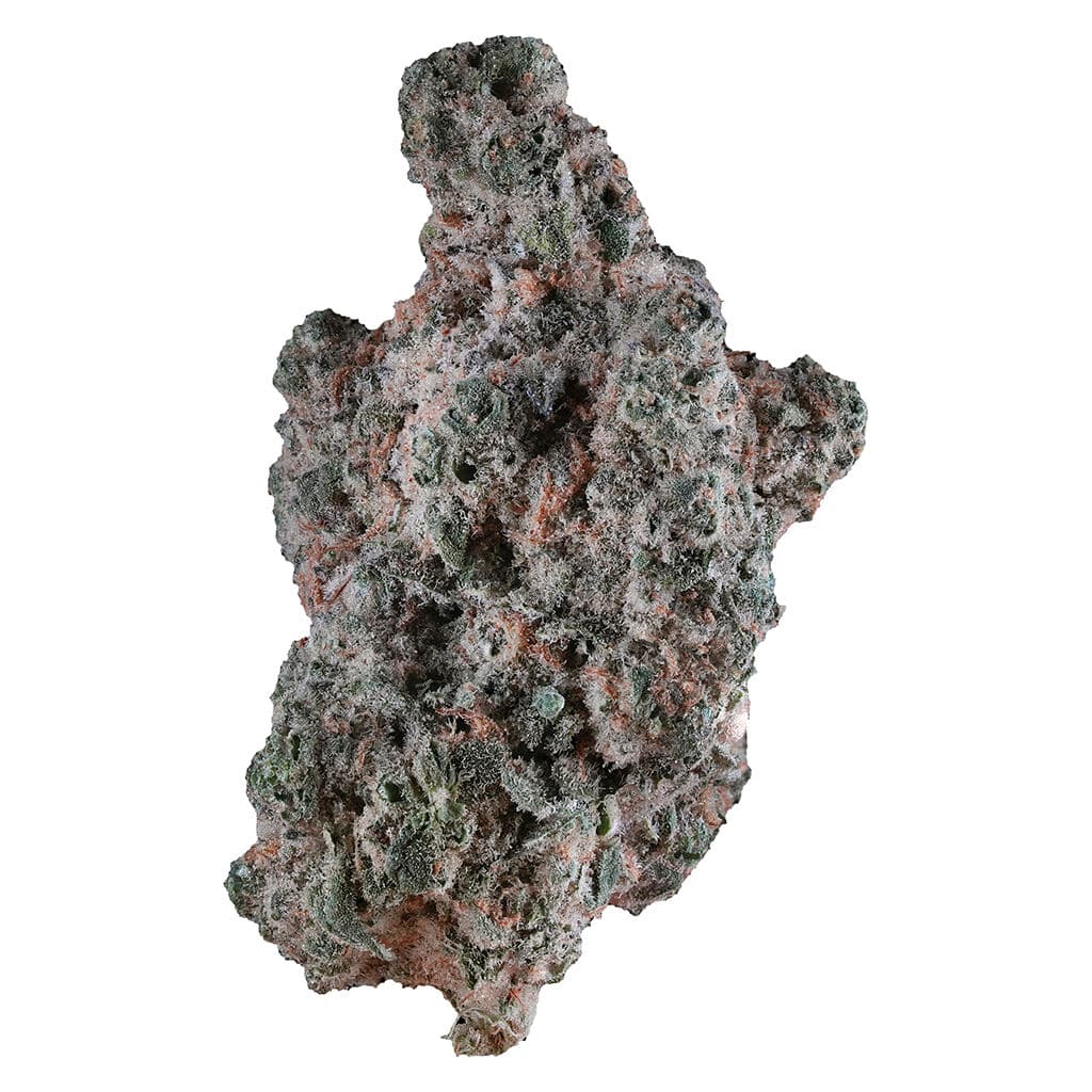 1964 - Lemon Diesel (Lemon Jack x NY Diesel) - 7g