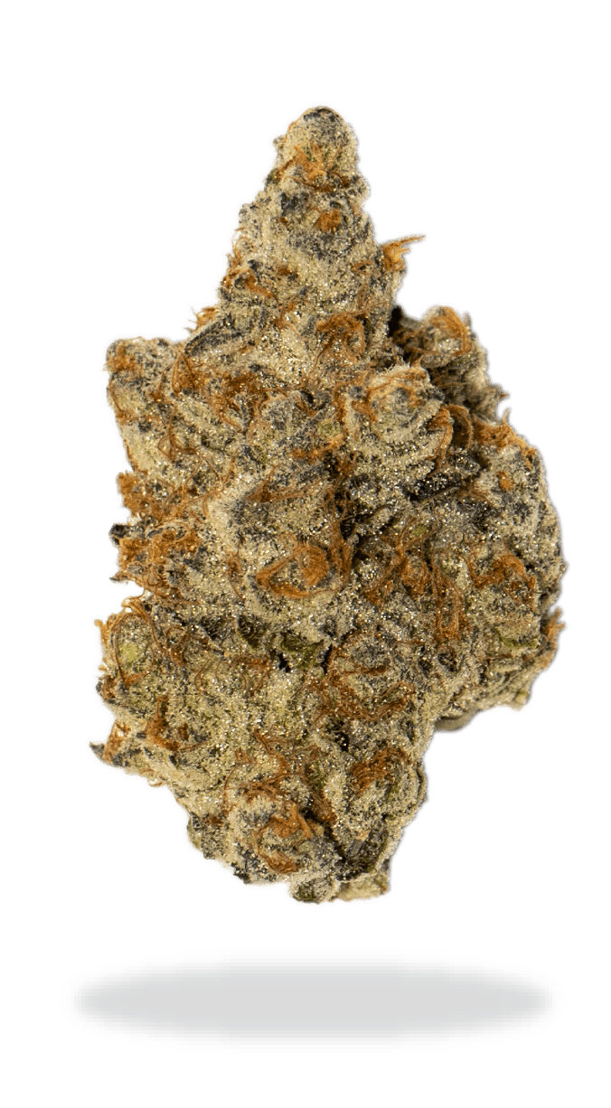 JOI Botanicals - Purple Punch Mints #11 (Purple Punch X Kush Mints #11) - 3.5g
