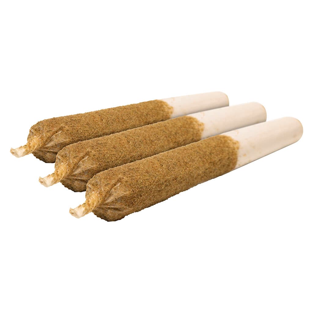 General Admission - Watermelon Splash Distillate Infused Pre-Rolls - 3x0.5g