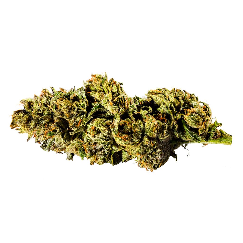 Redecan - Mint Chip Gelato (Green Cookies x Sinmint Cookies)- 3.5g
