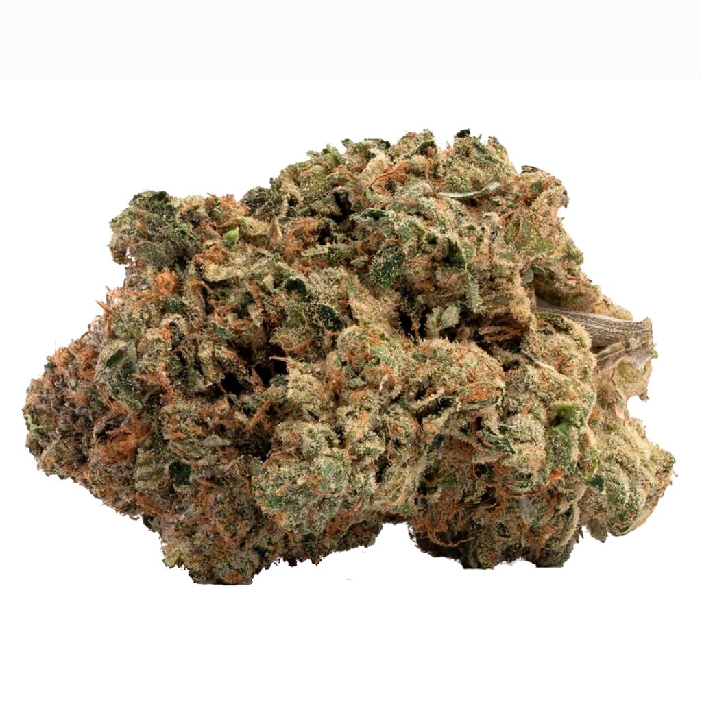 Canwe - TF Pink Kush (Pink Kush x Unknown) - 1g