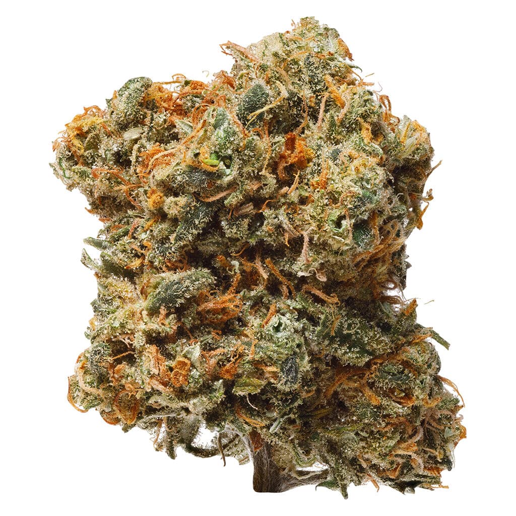1964 - BC Organic Blue Dream - 14g