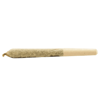 Dab Bods - Apple Spice Resin Infused Pre Roll - 3x0.5g