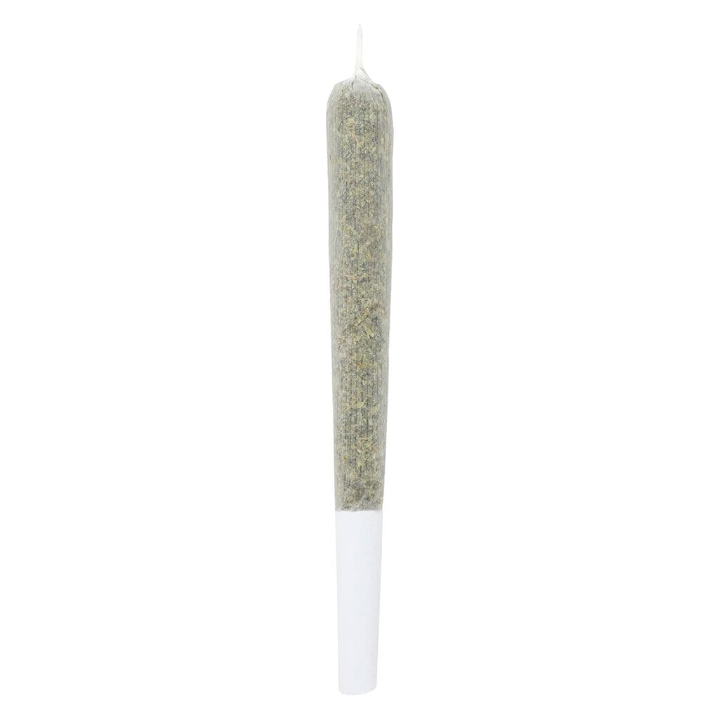 Crooked Dory - Kush Cake Shatter Infused Pre-Rolls - 4x0.5g