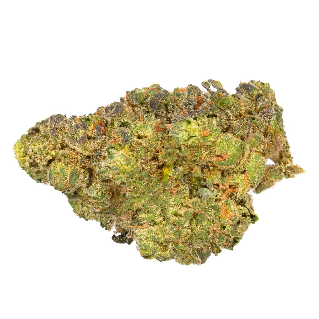 Daily Special - Nightmare Fuel (G.M.O. x Fuel) - 3.5g