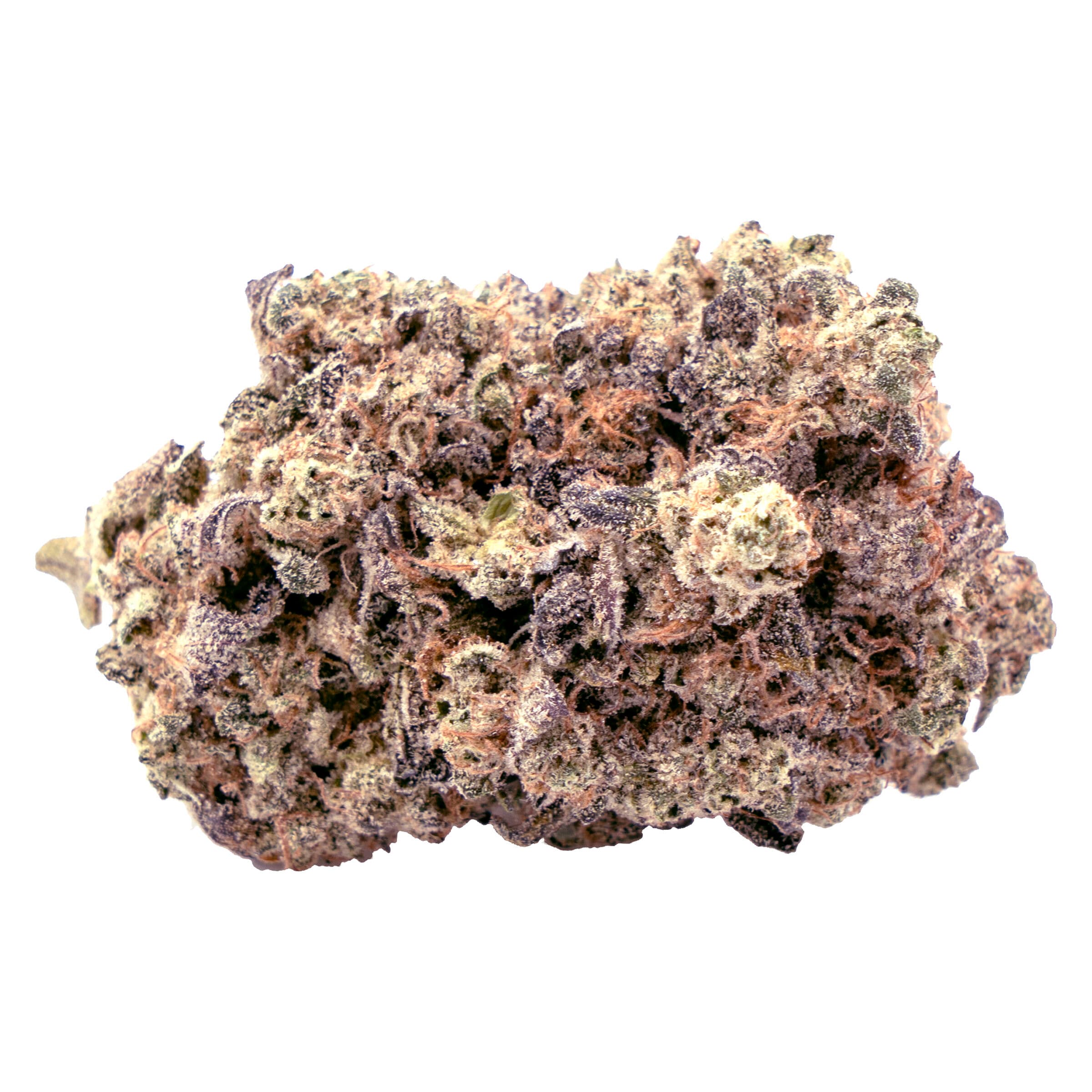Terp Town Collective - Lazer Wolf (Animal Sorbet x Trop Souffle) - 3.5g