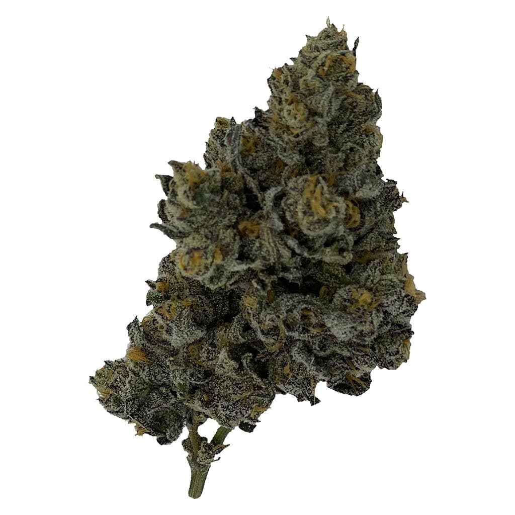 Rocket Factory - Crystal Locomotive (98 Aloha White Widow x Trianwreck) - 7g