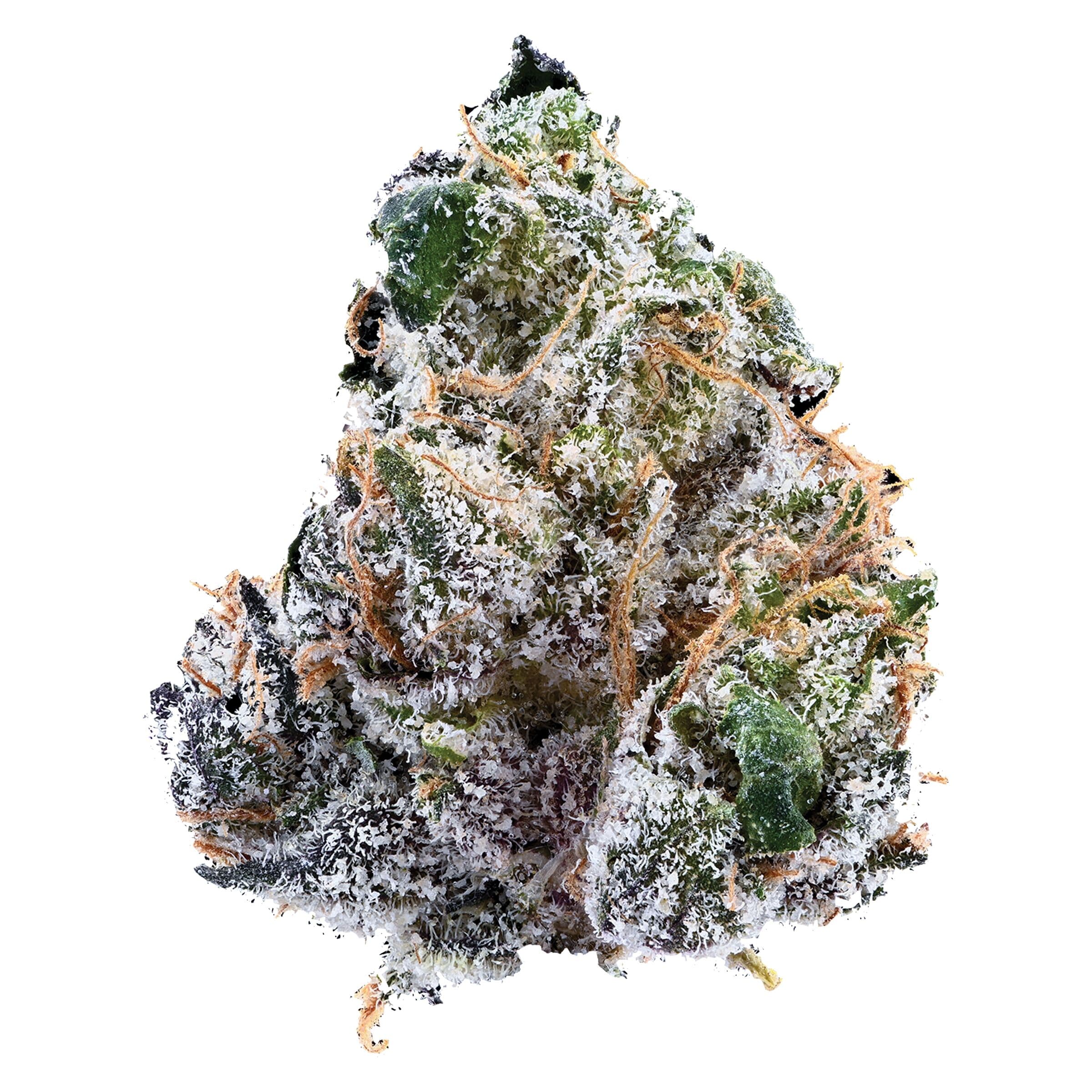 Nugz - Guava Jam (Guavaz x Guavaz) - 7g
