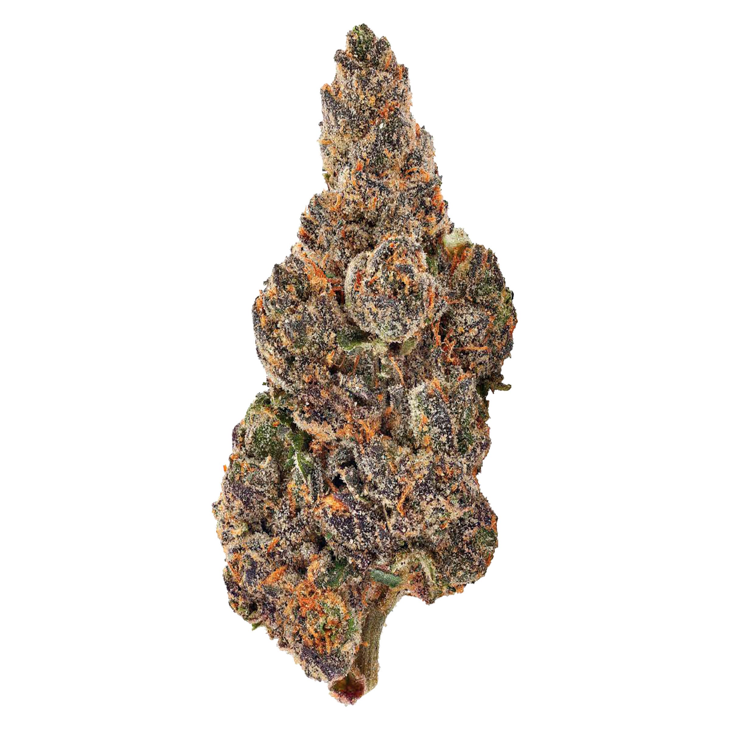 Bud Lafleur - Banana Daddy (Grand Daddy Purple x Banana Hammock R1) - 3.5g
