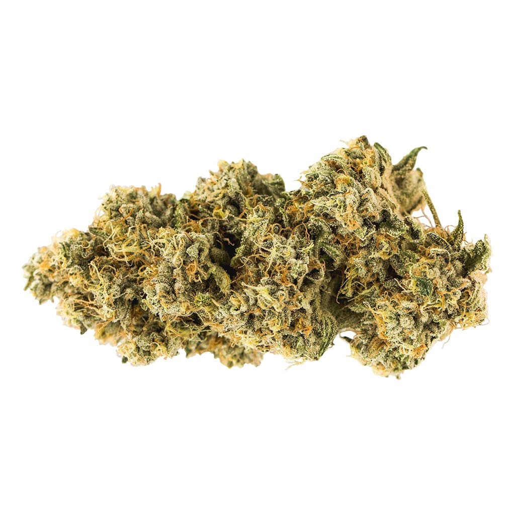 Carmel - Animal Face - 14g