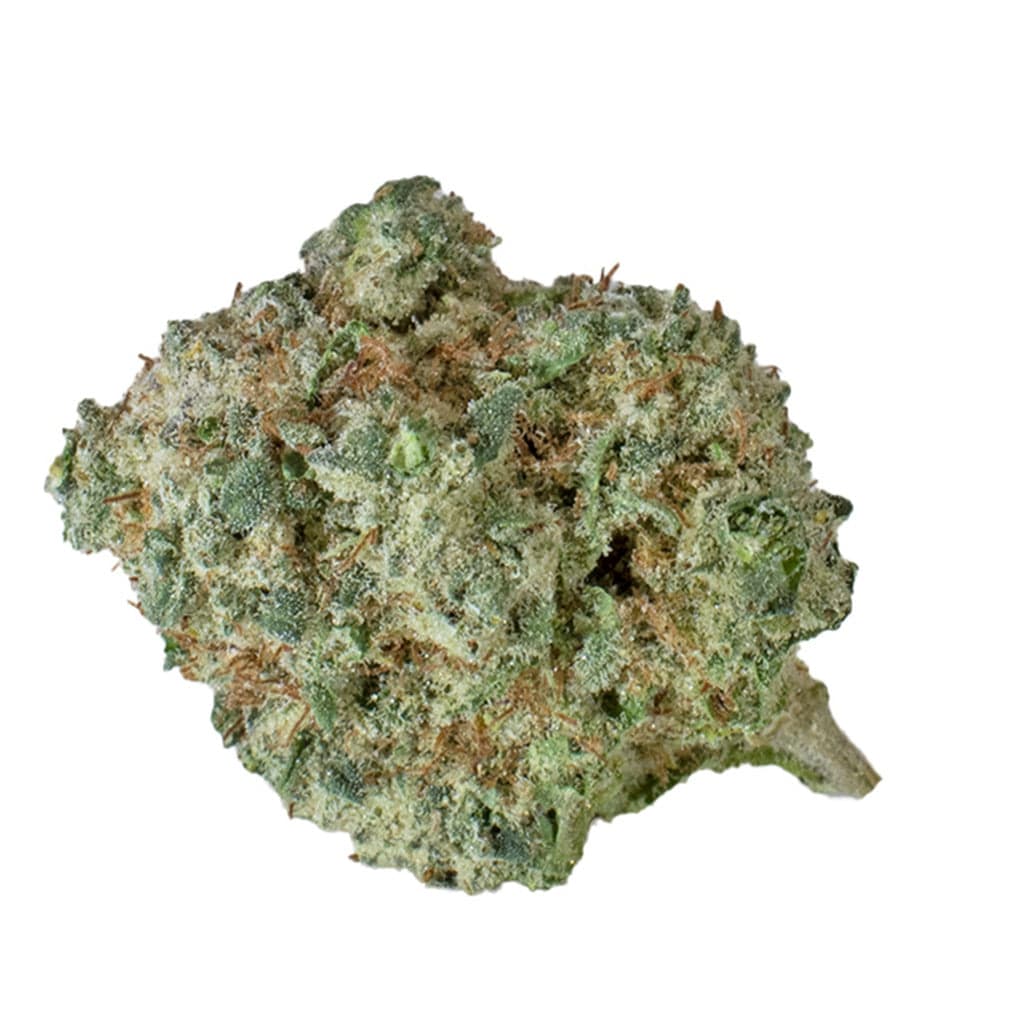 Seleste - Purple Aya (Master Kush x Red River Delta) - 3.5g