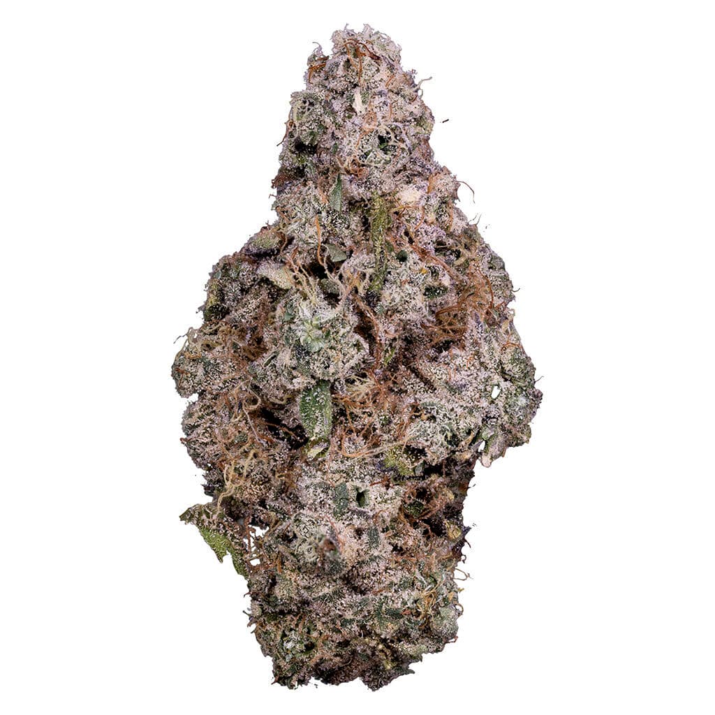 Tribal - Porto Leche - 3.5g