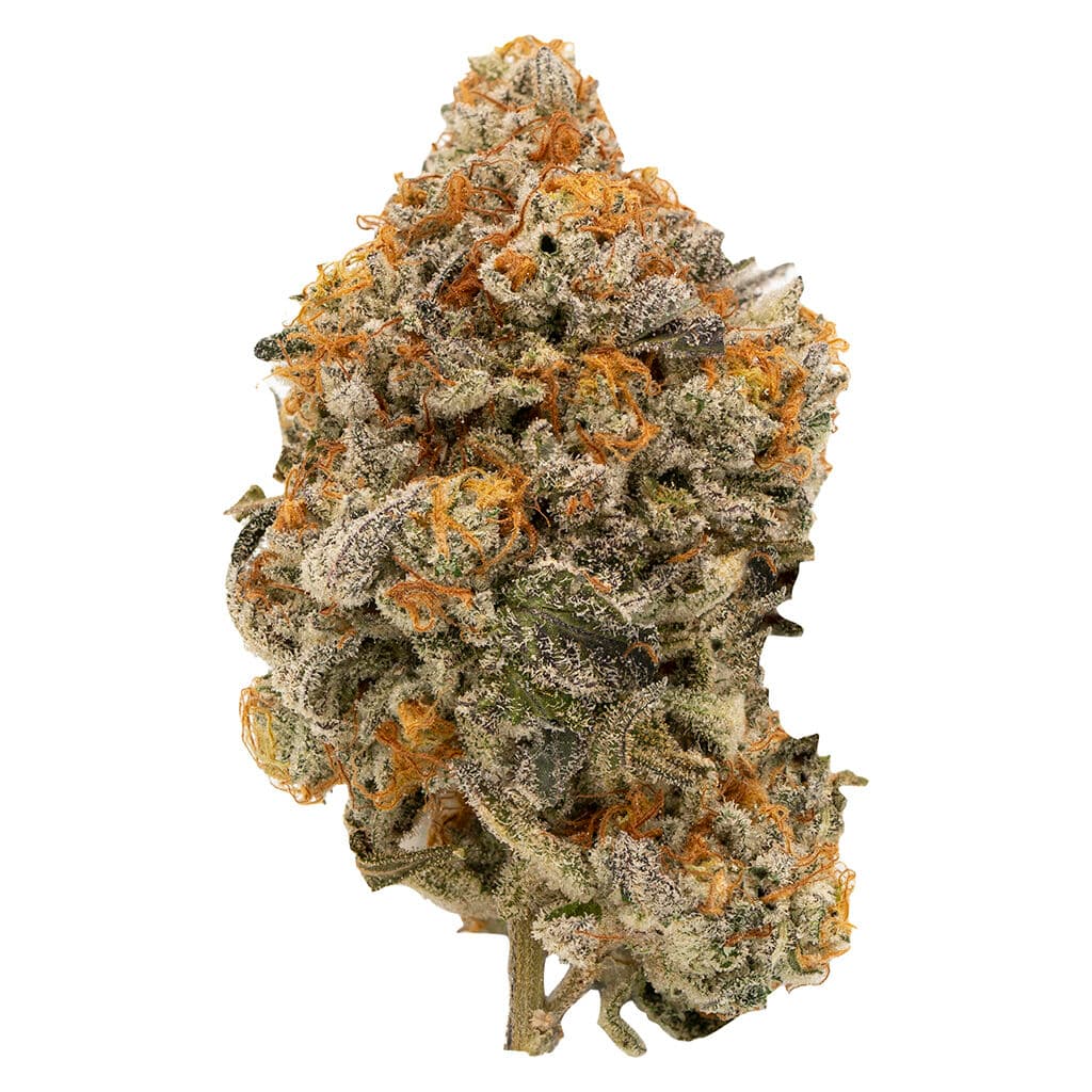 OMG - Loud Pie (Loud Mouth x Georgia Pie) by Greenwell  - 3.5g
