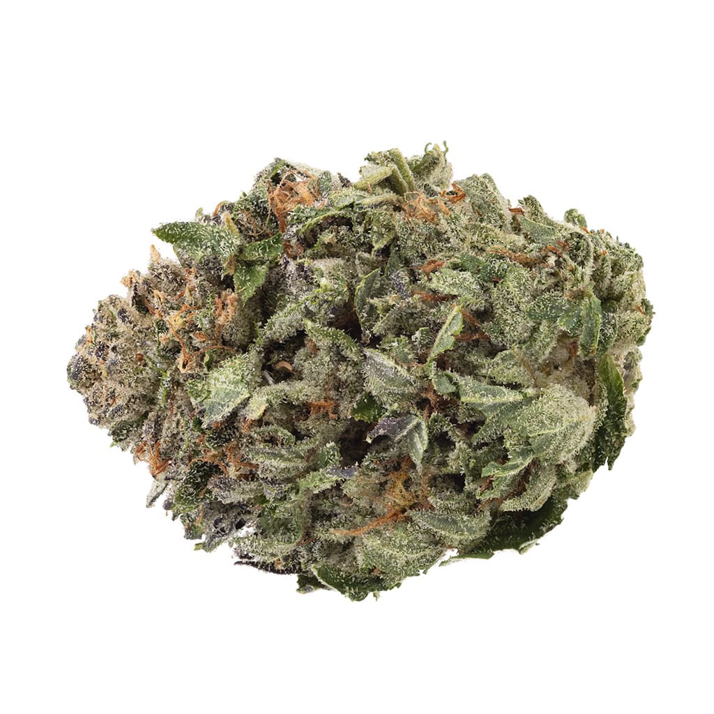1964 - Organic Comatose (OG Kush X Unknown Indica) - 3.5g