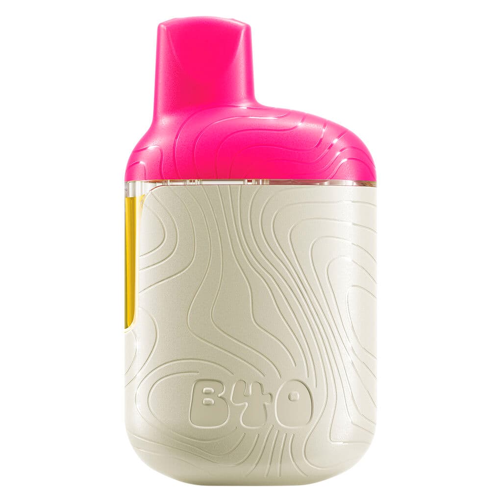 Back Forty - Watermelon Ice Disposable - 0.95g