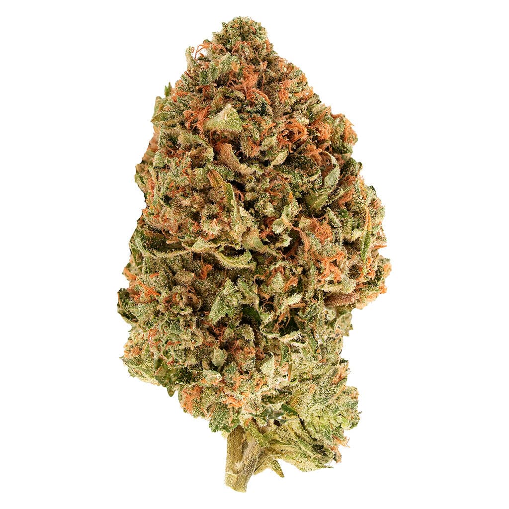 Simply Bare - BC Organic Tea Time #7 (RS11 x  Zkittlez) - 3.5g