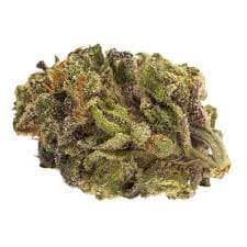 Twd.28 - Sativa Bud - 28g