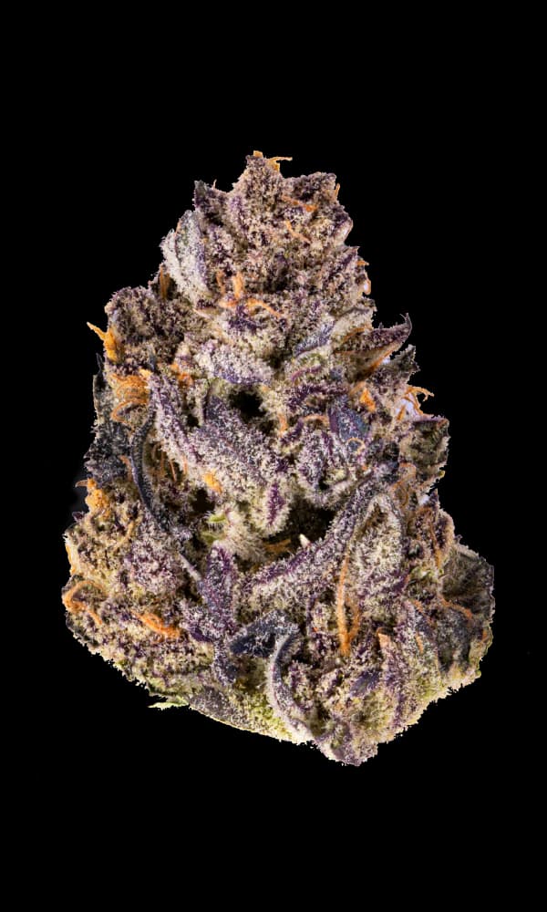 Flowr - BC Black Cherry (Black Cherry Pie x Purple Punch) - 14g
