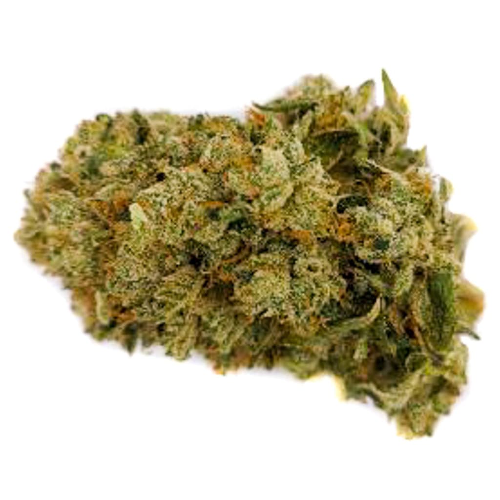 Sitka Micro Collection - G13 Triangle Kush (Triangle Kush x ’88 G13 Hash Plant)