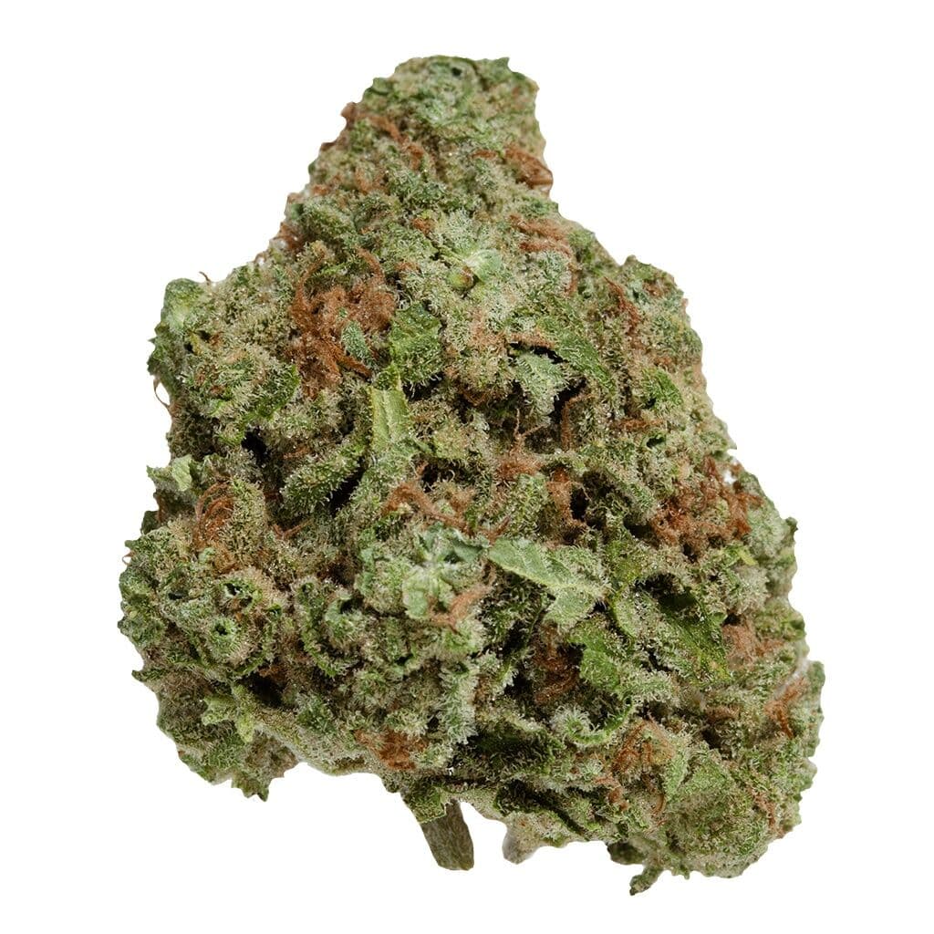 UP - Northern Berry (Northern Lights #5 x Blueberry)