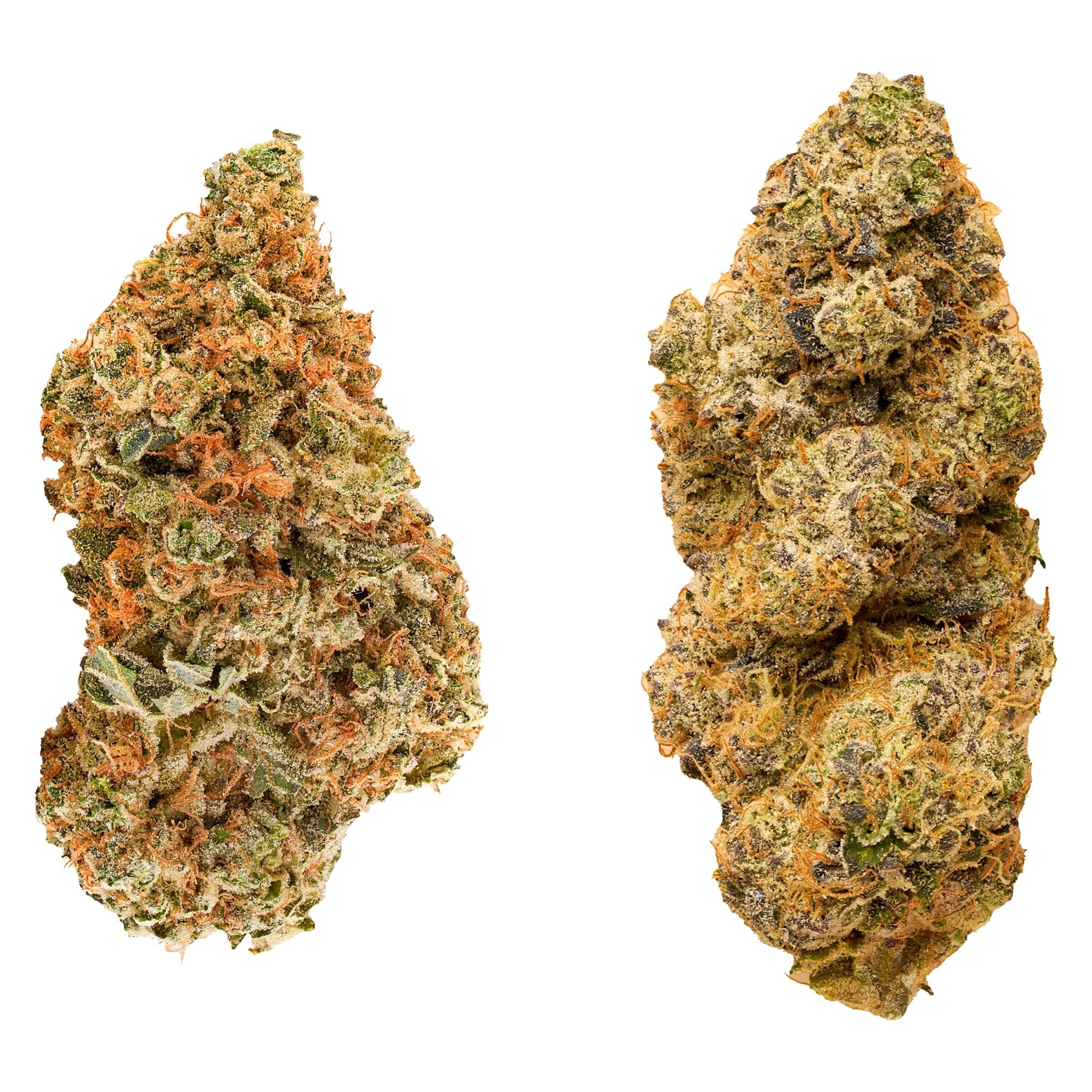 Redecan - Taster Series Variety Pack - 28g