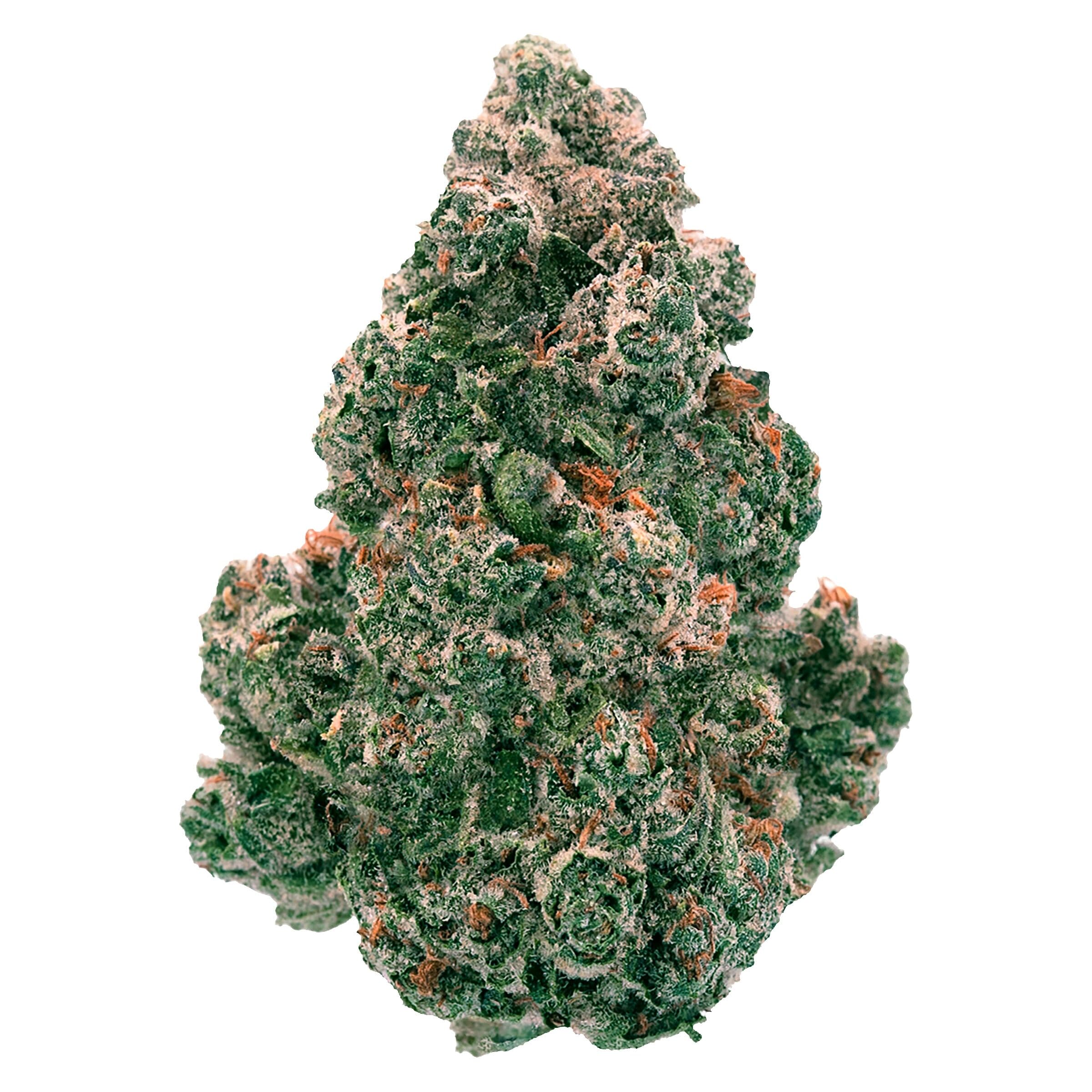 Back Forty - Liquid Imagination (Blue Zktlz x Jet Fuel Gelato) - 7g